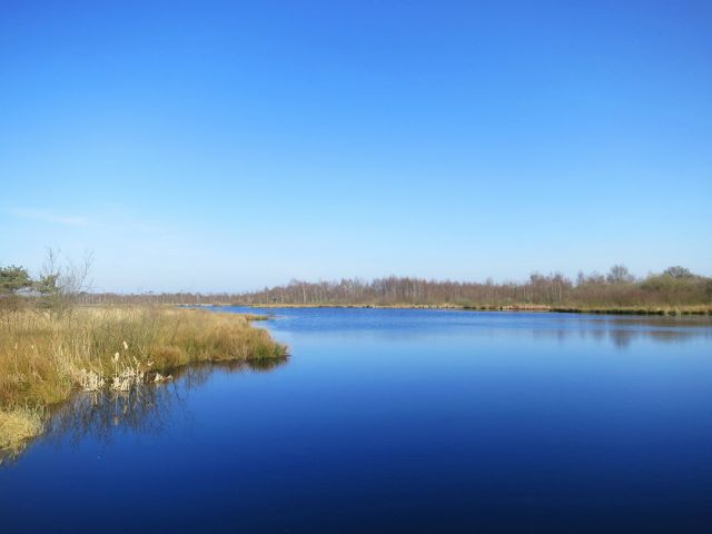 Natuurreservaat De Grote Peel Noord Limburg