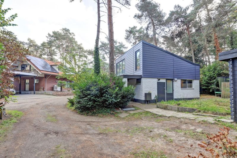 steenoven-12-b12-meijel